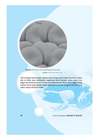 68 Panduan Pembelajaran BIOLOGI XI SMA/MA
Takut dengan darah? Jangan, setetes darah sangat berarti bagi nyawa kita. Dalam
bab ini kalian akan ditunjukkan bagaimana darah beredar dalam tubuh kita,
bagaimana kita bisa sembuh ketika kulit sudah terluka. Peran darah begitu besar,
setetes darah yang sebesar kepala jarum pentul penuh dengan 6 juta sel darah
dalam setiap milimeter kubik.
68 Panduan Pembelajaran BIOLOGI XI SMA/MA
Gambar 5.1 Setetes eritrosit penting bagi nyawa kita
Sumber: Jendela Iptek Jilid 9, 2001 : 33
 