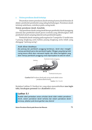 Sistem Peredaran Darah pada Hewan dan Manusia 71
Latihan 5.1
c. Sistem peredaran darah tertutup
Dinamakan sistem peredaran darah tertutup karena darah beredar di
dalam pembuluh-pembuluh yang saling berhubungan. Peredaran darah
tertutup sederhana, contohnya pada cacing tanah.
Sistem peredaran darah Annelida
Alatperedarandarahcacingtanahberupapembuluhdarahpunggung
(dorsal) dan pembuluh darah perut (ventral) yang dihubungkan oleh
pembuluh darah samping (lateral) serta pembuluh kapiler.
Pembuluhdarahsampingpadasegmenke-7sampaike-11terdiriatas
5 pasang lengkung aorta kelima pasang lengkung aorta inilah yang
dianggap “jantung cacing”.
Arah aliran darahnya:
Jika jantung dan pembuluh punggung berdenyut, darah akan mengalir
menuju pembuluh perut dan pembuluh kapiler. Oksigen yang diserap kulit
cacing secara difusi akan memasuki kapiler dan diikat hemoglobin yang
akan menuju pembuluh punggung untuk dipompakan ke seluruh tubuh.
Kerjakan Latihan 5.1 berikut ini, yang akan menumbuhkan rasa ingin
tahu, kecakapan personal dan akademik kalian.
Buatlah tabel perbedaan antara sirkulasi darah tidak melalui peredaran
darah, sistem peredaran darah terbuka dan sistem peredaran darah
tertutup, jelaskan pula lewat gambar atau skema!
Gambar 5.4 Peredaran darah pada cacing tanah adalah sistem
peredarandarahtertutup
Sumber: Dok. Penerbit
Jantung
Pembuluh darah punggung
Pembuluh darah perut
 