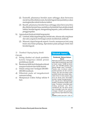Sistem Peredaran Darah pada Hewan dan Manusia 77
(2) Eosinofil, plasmanya bersifat asam sehingga akan berwarna
merah tua bila ditetesi eosin, bersifat fagosit dan jumlahnya akan
meningkat jika tubuh terkena infeksi.
(3) Basofil, plasmanya bersifat basa sehingga akan berwarna biru
jikaditetesilarutanbasa,jumlahnyabertambahbanyakjikaterjadi
infeksi,bersifatfagosit,mengandungheparin,yaituzatkimiaanti
penggumpalan.
b) Agranulosit(leukosittidakbergranula)
(1) Limfosit,tidakdapatbergerak,berintisatu,ukuranadayangbesar
dan ada yang kecil, berfungsi untuk membentuk antibodi.
(2) Monosit, dapat bergerak seperti Amoeba, mempunyai inti yang
bulat atau bulat panjang, diproduksi pada jaringan limfa dan
bersifat fagosit.
3) Trombosit (keping-keping darah)
Ciri-ciri:
a) Sering disebut sel darah pembeku
karena fungsinya dalam proses
pembekuan darah.
b) Berukuranlebihkecildaripadaeritrosit
maupun leukosit dan tidak berinti.
c) Dalam setiap mm3
terdapat 200.000 -
400.000 trombosit.
d) Dibentuk pada sel megakariosit
sumsum tulang.
e) Mempunyai waktu hidup sekitar 8
hari.
Pembentuk Bekuan-bekuan
Darah
Pada suatu tusukan jarum, darah yang
keluar lebih kurang terdiri atas 5 juta
sel darah merah, 10.000 sel darah
putih, dan 250.000 platelet yang
dikenal dengan nama “trombosit”.
Platelet atau trombosit adalah
pecahan-pecahan sel dari sumsum
tulang. Jika ada kerusakan pada
pembuluh darah akan terjadi reaksi-
reaksi kimia di mana protein yang
larut ke darah yaitu fibrinogen
berubah menjadi benang-benang fi-
brin yang tak larut. Benang-benang
tersebut membentuk jaringan tusuk
silang. Trombosit menempel pada
dinding pembuluh dan fibrin
membentuk jala. Sel darah merah
akan tersangkut pula dan seluruh
rintangan menjadi satu gumpalan
yang menutup rapat kebocoran yang
ada.
Tahukah kamu?
Sumber: Jendela Iptek Jilid 9, 2001:33
 