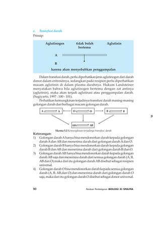 80 Panduan Pembelajaran BIOLOGI XI SMA/MA
e. Transfusi darah
Prinsip:
Aglutinogen tidak boleh Aglutinin
bertemu
A
α
B
β
karena akan menyebabkan penggumpalan
Dalamtransfusidarah,perludiperhatikanjenisaglutinogendaridarah
donor dalam eritrositnya, sedangkan pada resipien perlu diperhatikan
macam aglutinin di dalam plasma darahnya. Hukum Landsteiner
menyatakan bahwa bila aglutinogen bertemu dengan zat antinya
(aglutinin), maka akan terjadi aglutinasi atau penggumpalan darah.
(Sugiyarto, 1997 : 100 - 101).
Perhatikan kemungkinan terjadinya transfusi darah masing-masing
golongan darah dan berbagai macam golongan darah.
Keterangan:
1) Golongan darahAhanya bisa mendonorkan darah kepada golongan
darahAdanAB dan menerima darah dari golongan darahAdan O.
2) Golongan darah B hanya bisa mendonorkan darah kepada golongan
darah B danAB dan menerima darah dari golongan darah B dan O.
3) GolongandarahABhanyabisamendonorkandarahkepadagolongan
darahAB saja dan menerima darah dari semua golongan darah (A, B,
AB dan O) maka dari itu golongan darahAB disebut sebagai resipien
universal.
4) Golongan darah O bisa mendonorkan darah kepada semua golongan
darah (A, B, AB,dan O) dan menerima darah dari golongan darah O
saja,makadariitugolongandarahOdisebutsebagaidonoruniversal.
A A O O B B
AB AB
Skema 5.2 Kemungkinan terjadinya transfusi darah
 