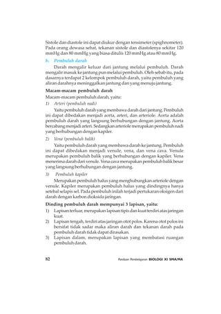 82 Panduan Pembelajaran BIOLOGI XI SMA/MA
Sistole dan diastole ini dapat diukur dengan tensimeter (spighnometer).
Pada orang dewasa sehat, tekanan sistole dan diastolenya sekitar 120
mmHg dan 80 mmHg yang biasa ditulis 120 mmHg atau 80 mmHg.
b. Pembuluh darah
Darah mengalir keluar dari jantung melalui pembuluh. Darah
mengalir masuk ke jantung pun melalui pembuluh. Oleh sebab itu, pada
dasarnya terdapat 2 kelompok pembuluh darah, yaitu pembuluh yang
aliran darahnya meninggalkan jantung dan yang menuju jantung.
Macam-macam pembuluh darah
Macam-macam pembuluh darah, yaitu:
1) Arteri (pembuluh nadi)
Yaitupembuluhdarahyangmembawadarahdarijantung.Pembuluh
ini dapat dibedakan menjadi aorta, arteri, dan arteriole. Aorta adalah
pembuluh darah yang langsung berhubungan dengan jantung. Aorta
bercabangmenjadiarteri.Sedangkanarteriolemerupakanpembuluhnadi
yang berhubungan dengan kapiler.
2) Vena (pembuluh balik)
Yaitu pembuluh darah yang membawa darah ke jantung. Pembuluh
ini dapat dibedakan menjadi venule, vena, dan vena cava. Venule
merupakan pembuluh balik yang berhubungan dengan kapiler. Vena
menerimadarahdarivenule.Venacavamerupakanpembuluhbalikbesar
yang langsung berhubungan dengan jantung.
3) Pembuluh kapiler
Merupakan pembuluh halus yang menghubungkan arteriole dengan
venule. Kapiler merupakan pembuluh halus yang dindingnya hanya
setebal selapis sel. Pada pembuluh inilah terjadi pertukaran oksigen dari
darah dengan karbon dioksida jaringan.
Dinding pembuluh darah mempunyai 3 lapisan, yaitu:
1) Lapisanterluar,merupakanlapisantipisdankuatterdiriatasjaringan
kuat.
2) Lapisan tengah, terdiri atas jaringan otot polos. Karena otot polos ini
bersifat tidak sadar maka aliran darah dan tekanan darah pada
pembuluh darah tidak dapat dirasakan.
3) Lapisan dalam, merupakan lapisan yang membatasi ruangan
pembuluh darah.
 