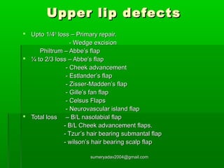 lip reconstruction | PPT