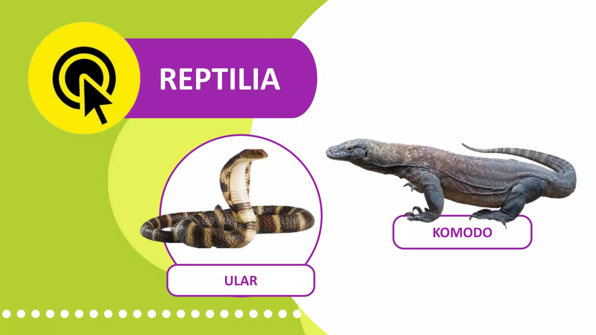Organ gerak hewan dan manusia - mengenal hewan vertebrata | smartpoint