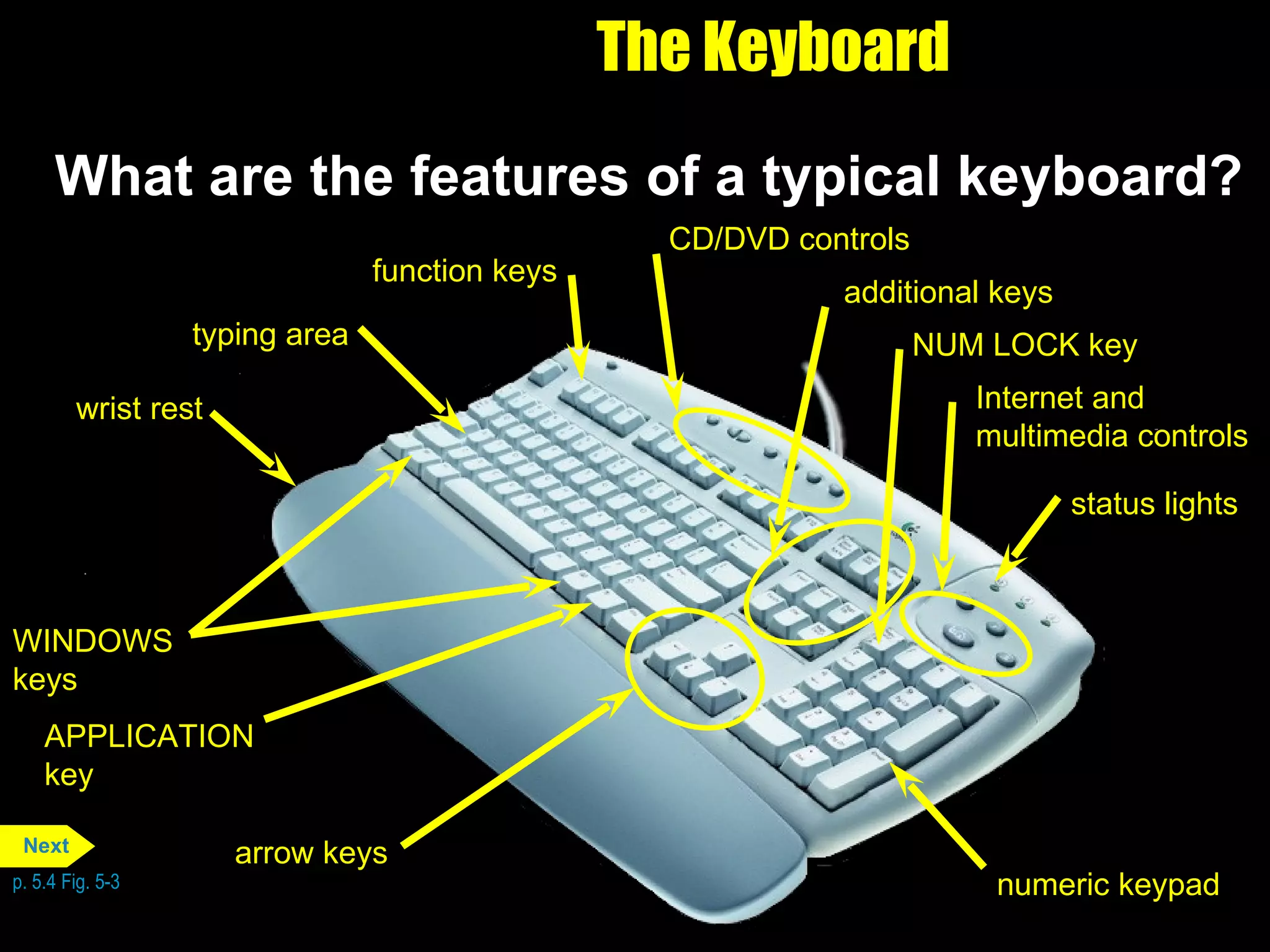 The Keyboard What are the features of a typical keyboard? p. 5.4 Fig. 5-3 NUM LOCK key function keys APPLICATION key WINDOWS keys status lights numeric keypad additional keys Internet and multimedia controls arrow keys CD/DVD controls wrist rest typing area Next 