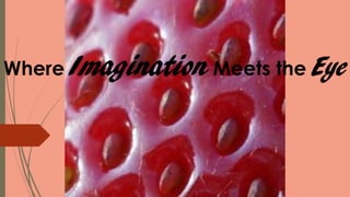 Where Imagination Meets the Eye
 