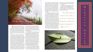 M
a
g
a
z
i
n
e
S
p
r
e
a
d
 