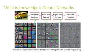 What is knowledge in Neural Networks
 