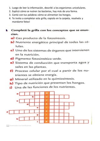 1. Luego de leer la información, describí a los organismos unicelulares.
2. Explicá cómo se nutren las bacterias, hay más ...