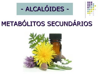 - ALCALÓIDES -- ALCALÓIDES -
METABÓLITOS SECUNDÁRIOSMETABÓLITOS SECUNDÁRIOS
 