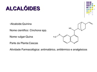 ALCALÓIDESALCALÓIDES
-Alcaloide:Quinina
Nome cientifico: Cinchona spp.
Nome vulgar:Quina
Parte da Planta:Cascas
Atividade Farmacológica: antimalárico, antitérmico e analgésicos
 