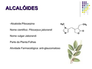 ALCALÓIDESALCALÓIDES
-Alcaloide:Pilocarpina
Nome cientifico: Pilocarpus jaborandi
Nome vulgar:Jaborandi
Parte da Planta:Folhas
Atividade Farmacológica: anti-glaucomatoso
 