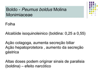 Folha
Alcalóide isoquinoleinico (boldina: 0,25 a 0,55)
Ação colagoga, aumenta secreção biliar
Ação hepatoprotetora , aumento da secreção
gástrica
Altas doses podem originar sinais de paralisia
(boldina) – efeito narcótico
Boldo - Peumus boldus Molina
Monimiaceae
 