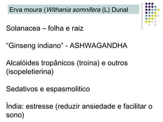 Solanacea – folha e raiz
“Ginseng indiano” - ASHWAGANDHA
Alcalóides tropânicos (troina) e outros
(isopeletierina)
Sedativos e espasmolitico
Ìndia: estresse (reduzir ansiedade e facilitar o
sono)
Erva moura (Withania somnifera (L) Dunal
 