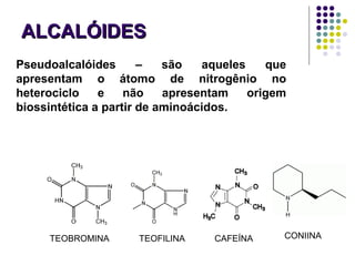 ALCALÓIDESALCALÓIDES
Pseudoalcalóides – são aqueles que
apresentam o átomo de nitrogênio no
heterociclo e não apresentam origem
biossintética a partir de aminoácidos.
TEOBROMINA TEOFILINA CAFEÍNA CONIINA
 