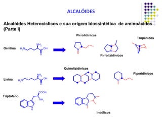 ALCALÓIDES
Alcalóides Heterocíclicos e sua origem biossintética de aminoácidos
(Parte I)
Ornitina
Pirrolidínicos
Pirrolizidínicos
Tropânicos
Lisina
Quinolizidínicos
Piperidínicos
Indólicos
Triptofano
 