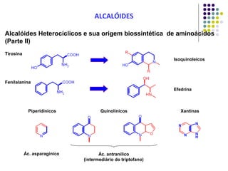 ALCALÓIDES
Alcalóides Heterocíclicos e sua origem biossintética de aminoácidos
(Parte II)
Isoquinoleicos
Tirosina
Efedrina
Fenilalanina
Ác. asparagínico Ác. antranílico
(intermediário do triptofano)
Quinolínicos XantinasPiperidínicos
 