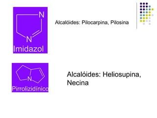 N
N
Imidazol
Alcalóides: Pilocarpina, Pilosina
N
Pirrolizidínico
Alcalóides: Heliosupina,
Necina
 