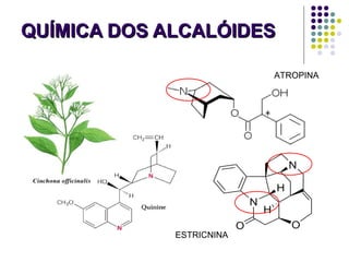 QUÍMICA DOS ALCALÓIDESQUÍMICA DOS ALCALÓIDES
ATROPINA
ESTRICNINA
 