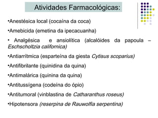 •Anestésica local (cocaína da coca)
•Amebicida (emetina da ipecacuanha)
• Analgésica e ansiolítica (alcalóides da papoula –
Eschscholtzia californica)
•Antiarrítmica (esparteína da giesta Cytisus scoparius)
•Antifibrilante (quinidina da quina)
•Antimalárica (quinina da quina)
•Antitussígena (codeína do ópio)
•Antitumoral (vinblastina de Catharanthus roseus)
•Hipotensora (reserpina de Rauwolfia serpentina)
Atividades Farmacológicas:
 