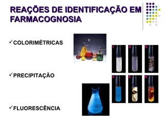 REAÇÕES DE IDENTIFICAÇÃO EMREAÇÕES DE IDENTIFICAÇÃO EM
FARMACOGNOSIAFARMACOGNOSIA
COLORIMÉTRICAS
PRECIPITAÇÃO
FLUORESCÊNCIA
 