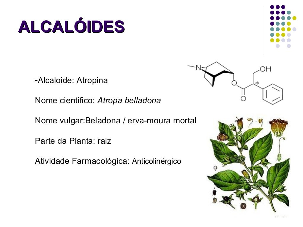 13 alcaloides