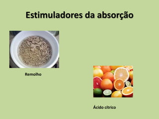 Estimuladores da absorção
Remolho
Ácido cítrico
 