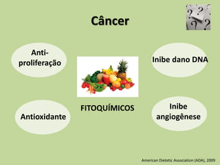 Câncer
American Dietetic Association (ADA), 2009
FITOQUÍMICOS
Antioxidante
Inibe dano DNA
Anti-
proliferação
Inibe
angiogênese
 