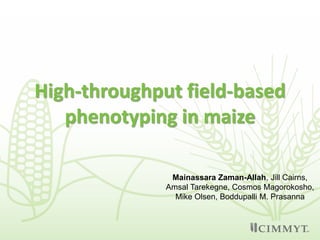 High-throughput field-based
phenotyping in maize
Mainassara Zaman-Allah, Jill Cairns,
Amsal Tarekegne, Cosmos Magorokosho,
Mike Olsen, Boddupalli M. Prasanna
 