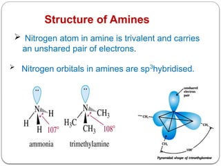 Structure of Amines
 Nitrogen atom in amine is trivalent and carries
an unshared pair of electrons.
 Nitrogen orbitals in amines are sp3
hybridised.
 