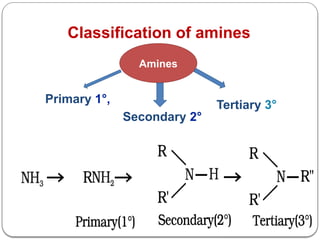 Classification of amines
Primary 1°,
Amines
Secondary 2°
Tertiary 3°
 