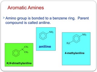 Aromatic Amines
Amino group is bonded to a benzene ring. Parent
compound is called aniline.
NH2
aniline
N
CH3
CH3
N,N-dimethylaniline
NH2
H3C
4-methylaniline
 
