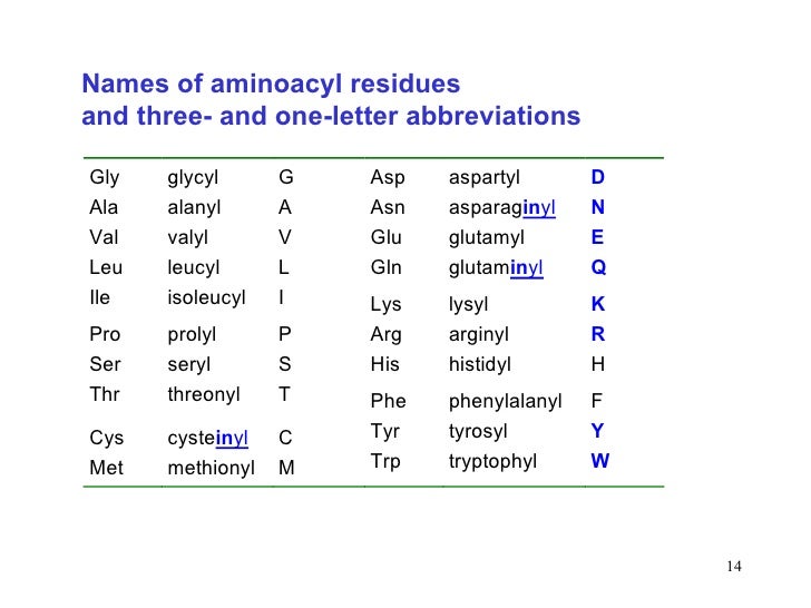 13 amino acids peptides dipeptide and amino acid to form tripeptide