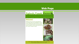 Web Page
 