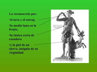 La reconocerás por: el arco y el carcaj, la media luna en la frente, la túnica corta de cazadora y la piel de un ciervo, insignia de su virginidad