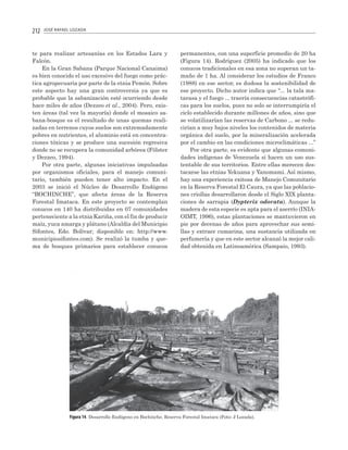 212

JOSÉ RAFAEL LOZADA

te para realizar artesanías en los Estados Lara y
Falcón.
En la Gran Sabana (Parque Nacional Canaima)
es bien conocido el uso excesivo del fuego como práctica agropecuaria por parte de la etnia Pemón. Sobre
este aspecto hay una gran controversia ya que es
probable que la sabanización esté ocurriendo desde
hace miles de años (Dezzeo et al., 2004). Pero, existen áreas (tal vez la mayoría) donde el mosaico sabana-bosque es el resultado de unas quemas realizadas en terrenos cuyos suelos son extremadamente
pobres en nutrientes, el aluminio está en concentraciones tóxicas y se produce una sucesión regresiva
donde no se recupera la comunidad arbórea (Fölster
y Dezzeo, 1994).
Por otra parte, algunas iniciativas impulsadas
por organismos oficiales, para el manejo comunitario, también pueden tener alto impacto. En el
2003 se inició el Núcleo de Desarrollo Endógeno
“BOCHINCHE”, que afecta áreas de la Reserva
Forestal Imataca. En este proyecto se contemplan
conucos en 140 ha distribuidas en 07 comunidades
perteneciente a la etnia Kariña, con el fin de producir
maíz, yuca amarga y plátano (Alcaldía del Municipio
Sifontes, Edo. Bolívar; disponible en: http://www.
municipiosifontes.com). Se realizó la tumba y quema de bosques primarios para establecer conucos

permanentes, con una superficie promedio de 20 ha
(Figura 14). Rodríguez (2005) ha indicado que los
conucos tradicionales en esa zona no superan un tamaño de 1 ha. Al considerar los estudios de Franco
(1988) en ese sector, es dudosa la sostenibilidad de
ese proyecto. Dicho autor indica que “... la tala matarasa y el fuego ... traería consecuencias catastróficas para los suelos, pues no solo se interrumpiría el
ciclo establecido durante millones de años, sino que
se volatilizarían las reservas de Carbono ... se reducirían a muy bajos niveles los contenidos de materia
orgánica del suelo, por la mineralización acelerada
por el cambio en las condiciones microclimáticas ...”
Por otra parte, es evidente que algunas comunidades indígenas de Venezuela si hacen un uso sustentable de sus territorios. Entre ellas merecen destacarse las etnias Yekuana y Yanomami. Así mismo,
hay una experiencia exitosa de Manejo Comunitario
en la Reserva Forestal El Caura, ya que las poblaciones criollas desarrollaron desde el Siglo XIX plantaciones de sarrapia (Dypterix odorata). Aunque la
madera de esta especie es apta para el aserrío (INIAOIMT, 1996), estas plantaciones se mantuvieron en
pie por decenas de años para aprovechar sus semillas y extraer cumarina, una sustancia utilizada en
perfumería y que en este sector alcanzó la mejor calidad obtenida en Latinoamérica (Sampaio, 1993).

Figura 14. Desarrollo Endógeno en Bochinche, Reserva Forestal Imataca (Foto: J Lozada).

 