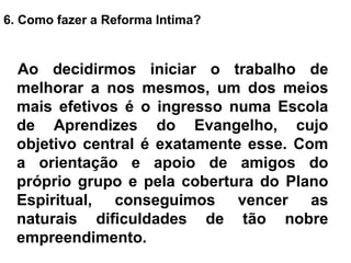 6. Como fazer a Reforma Intima?
Ao decidirmos iniciar o trabalho de
melhorar a nos mesmos, um dos meios
mais efetivos é o ingresso numa Escola
de Aprendizes do Evangelho, cujo
objetivo central é exatamente esse. Com
a orientação e apoio de amigos do
próprio grupo e pela cobertura do Plano
Espiritual, conseguimos vencer as
naturais dificuldades de tão nobre
empreendimento.
 
