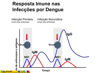 Resposta Imune nas
Infecções por Dengue
veisdeanticorposeantígeno
IgM
IgM
IgG
Infecção Primária
(início dos sintomas)
Infecção Secundária
(início dos sintomas)
Vírus Vírus
NS1NS1
Tempo
 