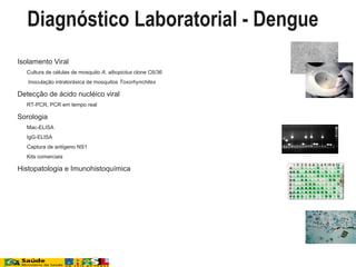  Isolamento Viral
 Cultura de células de mosquito A. albopictus clone C6/36
 Inoculação intratoráxica de mosquitos Toxorhynchites
 Detecção de ácido nucléico viral
 RT-PCR, PCR em tempo real
 Sorologia
 Mac-ELISA
 IgG-ELISA
 Captura de antígeno NS1
 Kits comerciais
 Histopatologia e Imunohistoquímica
Diagnóstico Laboratorial - Dengue
 