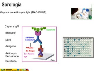 Captura de anticorpos IgM (MAC-ELISA)
1 Captura IgM
2. Bloqueio
3. Soro
4. Antígeno
5. Anticorpo
Secundário
6. Substrato
Placa
Anti-IgM
Soro Paciente
IgM
Antígeno
de dengue
Anticorpo
Secundário
Substrato
Sorologia
 