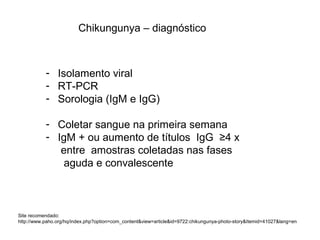 Chikungunya – diagnóstico
- Isolamento viral
- RT-PCR
- Sorologia (IgM e IgG)
- Coletar sangue na primeira semana
- IgM + ou aumento de títulos IgG ≥4 x
entre amostras coletadas nas fases
aguda e convalescente
Site recomendado:
http://www.paho.org/hq/index.php?option=com_content&view=article&id=9722:chikungunya-photo-story&Itemid=41027&lang=en
 