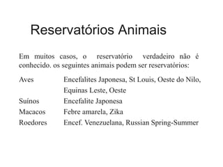 Reservatórios Animais
Em muitos casos, o reservatório verdadeiro não é
conhecido. os seguintes animais podem ser reservatórios:
Aves Encefalites Japonesa, St Louis, Oeste do Nilo,
Equinas Leste, Oeste
Suínos Encefalite Japonesa
Macacos Febre amarela, Zika
Roedores Encef. Venezuelana, Russian Spring-Summer
 