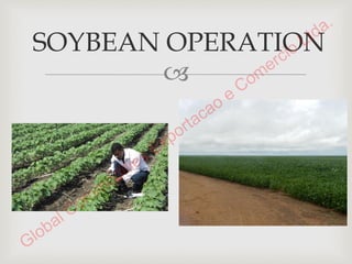 Presentation SOYBEANS 1-15-2015