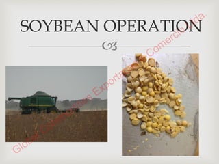 Presentation SOYBEANS 1-15-2015