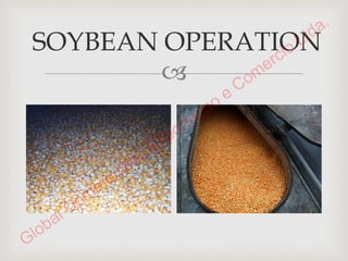 Presentation SOYBEANS 1-15-2015