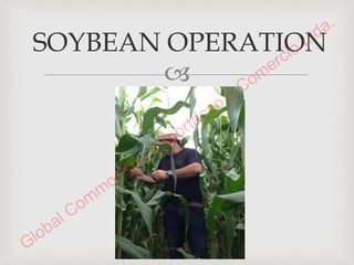 Presentation SOYBEANS 1-15-2015