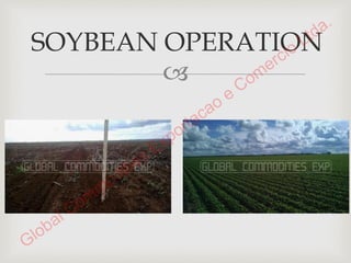 Presentation SOYBEANS 1-15-2015