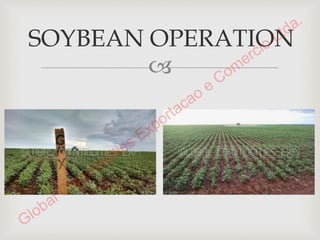 Presentation SOYBEANS 1-15-2015