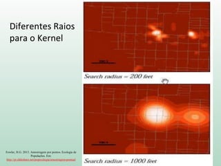Diferentes Raios
para o Kernel
Fowler, H.G. 2013. Amostragem por pontos. Ecologia de
Populações. Em:
http://pt.slideshare.net/popecologia/amostragem-pontual
 