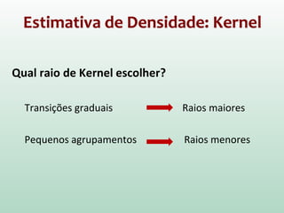 Estimativa de Densidade: Kernel
Qual raio de Kernel escolher?
Transições graduais Raios maiores
Pequenos agrupamentos Raios menores
 