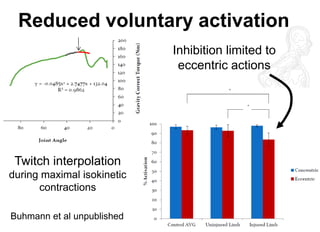 Reduced voluntary activation 
Inhibition limited to eccentric actions 
Twitch interpolation during maximal isokinetic contractions 
Buhmann et al unpublished  